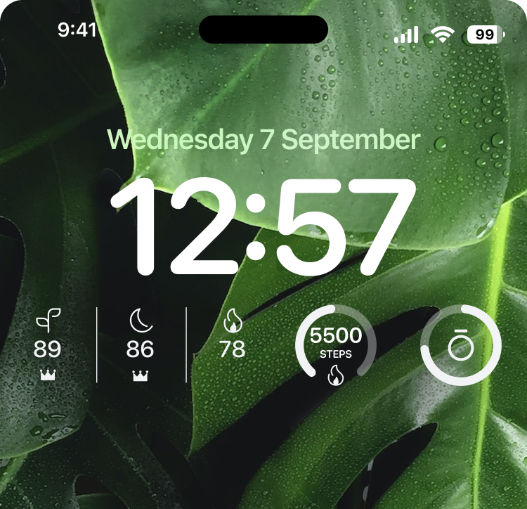an example of Oura's lock screen widgets