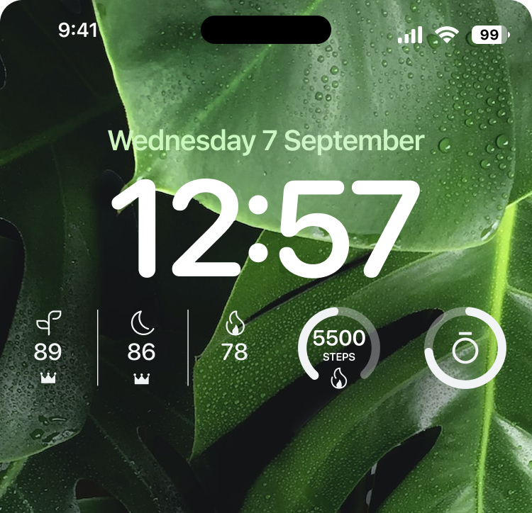 Widgets for Ring app! : r/Ring