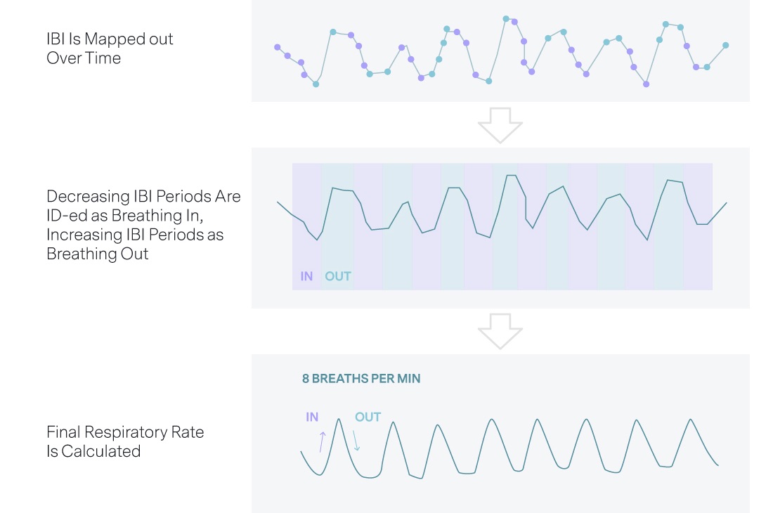 Respiratory Rate – Oura Help