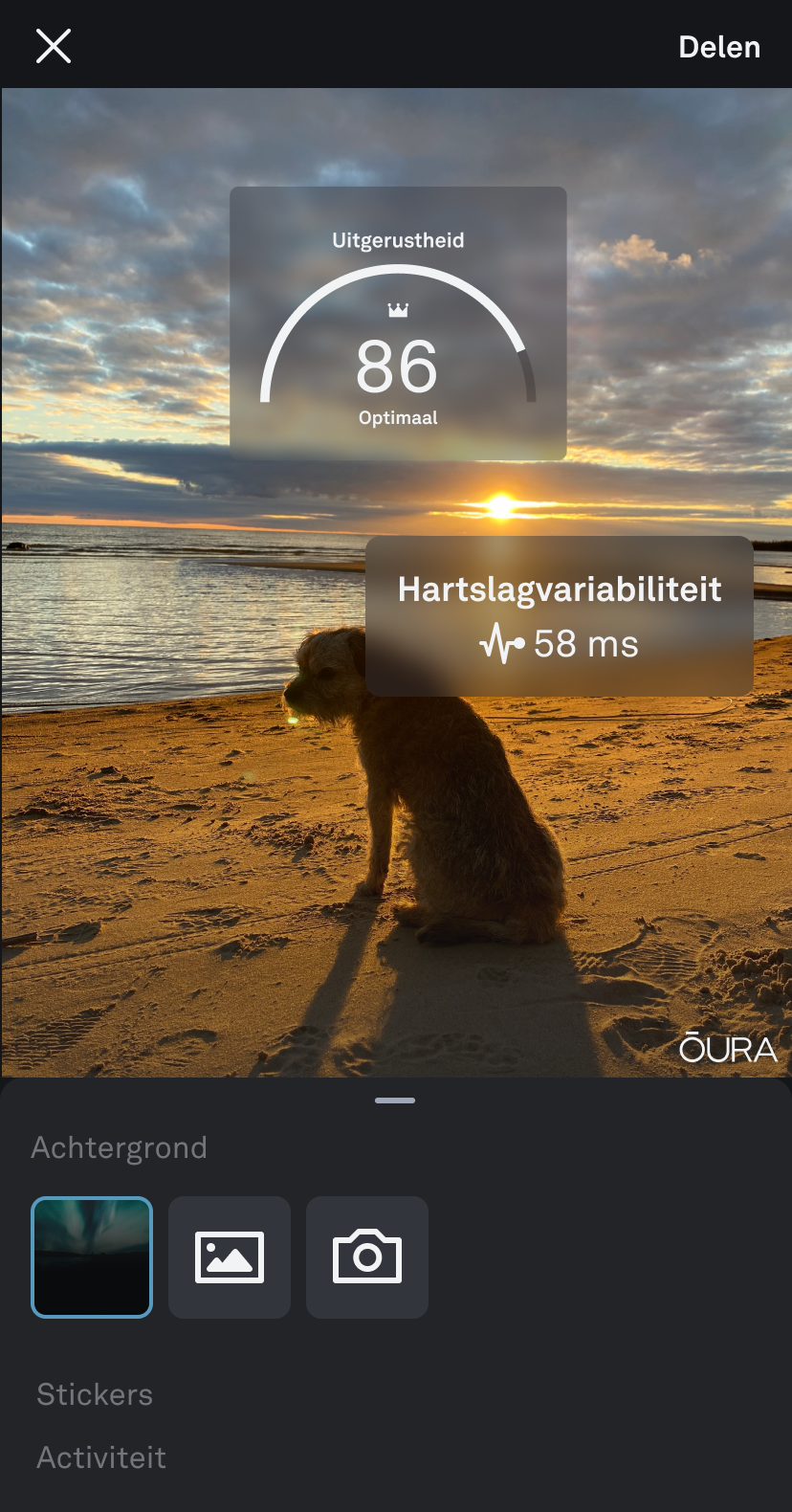 Oura_Stickers_2_nl.png